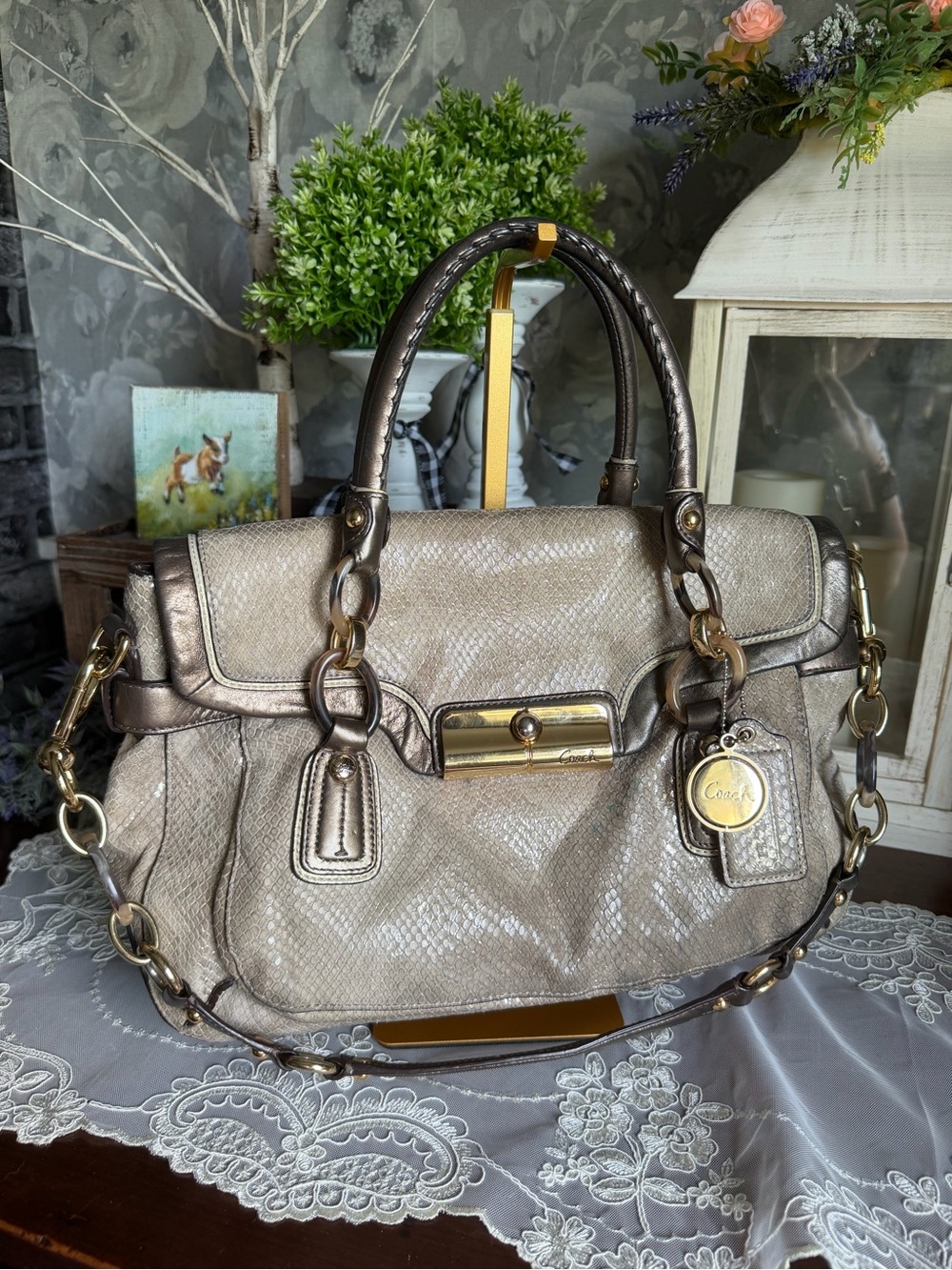 Coach Kirstin Embossed Python Metallic Leather Shoulder Bag Purse E1194-18309
